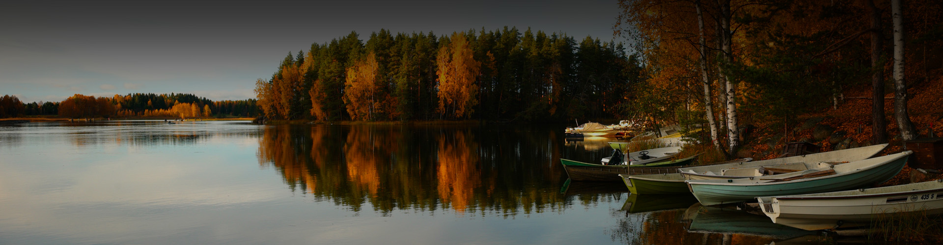 Photo of a forested lake during autumn