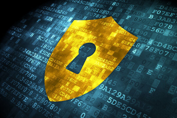 Does Your Business Have the Cyber Liability Protection You Need?