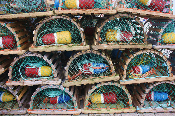 Photo of a stack of lobster pots