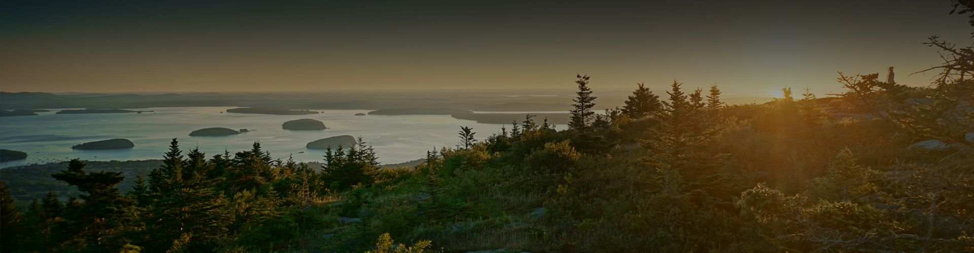 Helicopter or drone photo of a forested landscape with lake in background