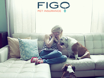 Photo of woman sitting on couch with her dogs - Links to the FIGO pet insurance online quote tool