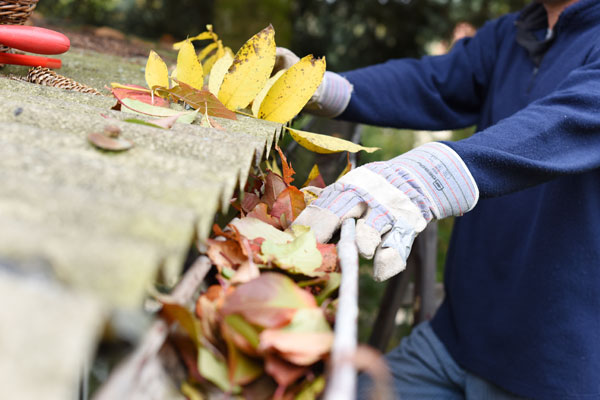 Image of a person cleaning leaves from their roof gutter