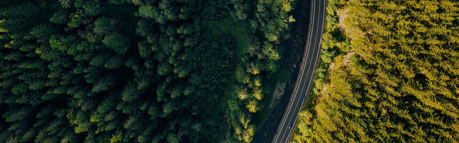 A photo of a highway zoomed out in the middle of a forest