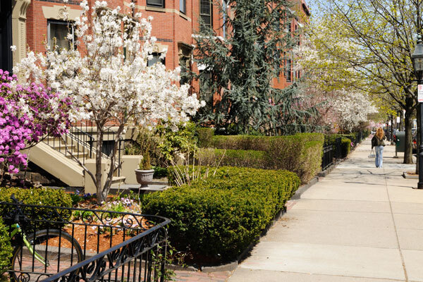 Photo of brownstone buildings with blooming flowers and trees